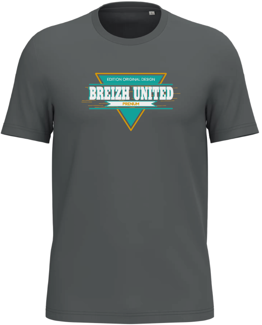 Tee shirt Breizh United Original